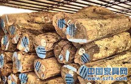緬甸2012年木材產量將減少40% 或影響中國家具企業(yè)